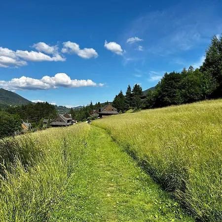 Drevenica Borovica Apartment
